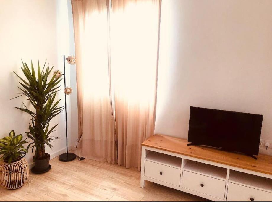Apartmán Disfruta, Nuevo En Mentidero Cádiz Exteriér fotografie